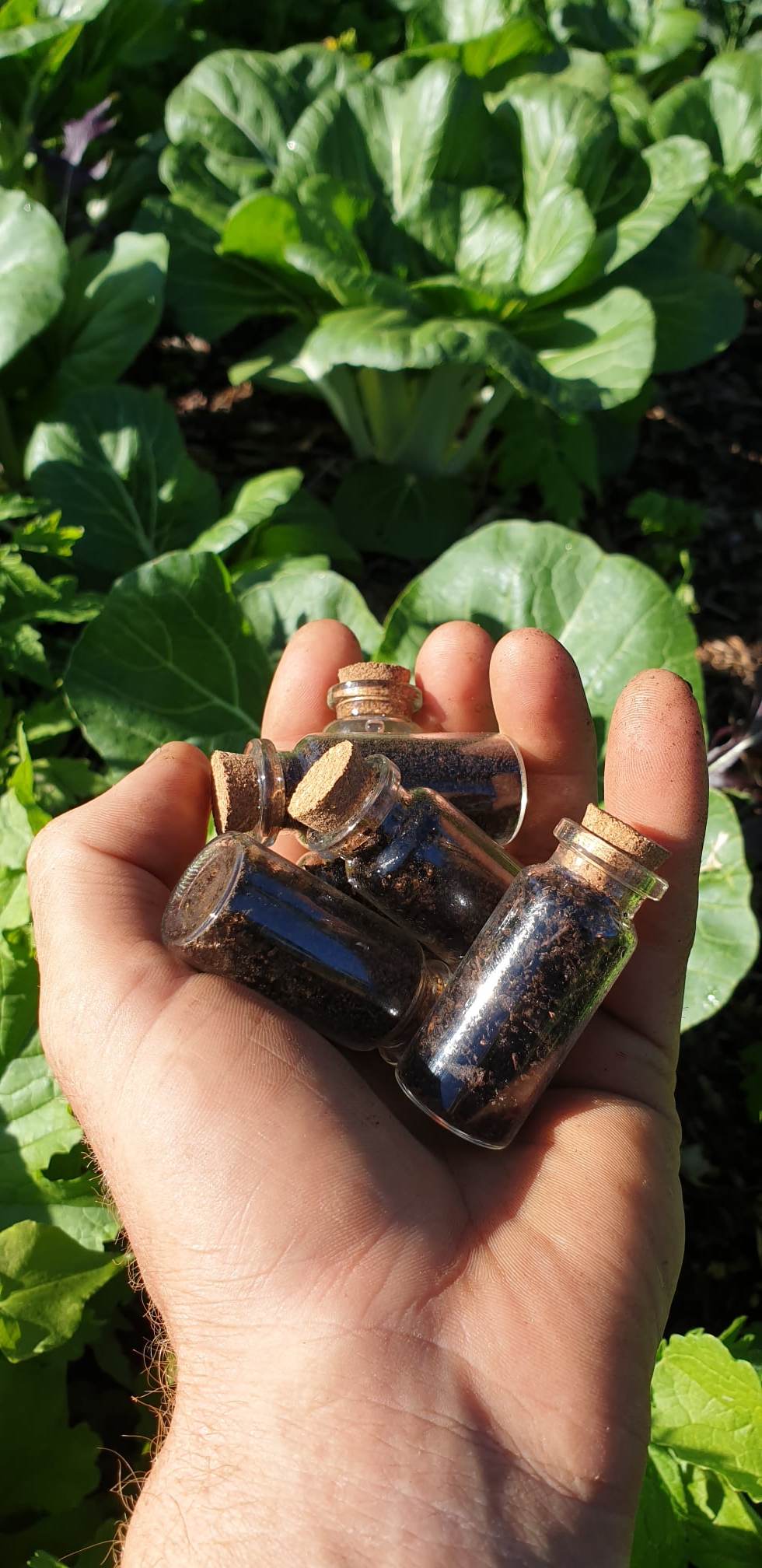 Biodynamic Preperation Set 502-507