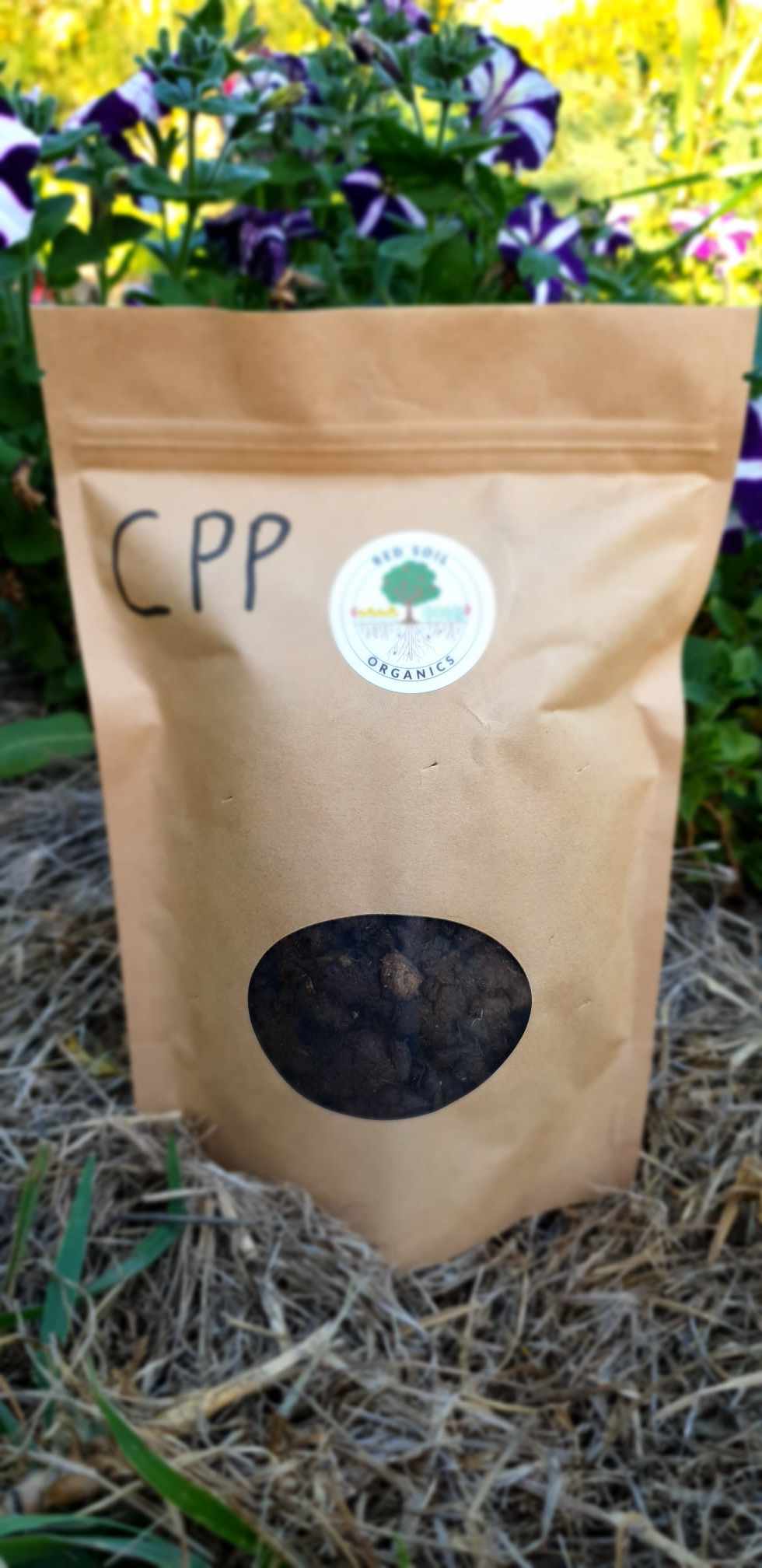 CPP - Cow Pat Pit | PURE |