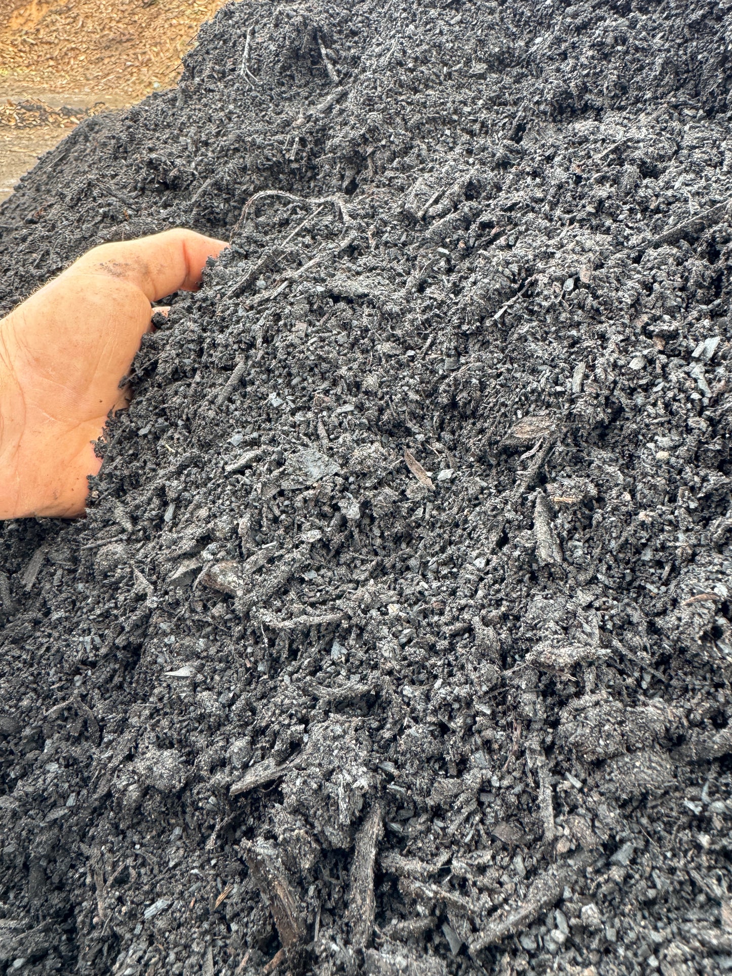 Morpheus Fermented BioChar