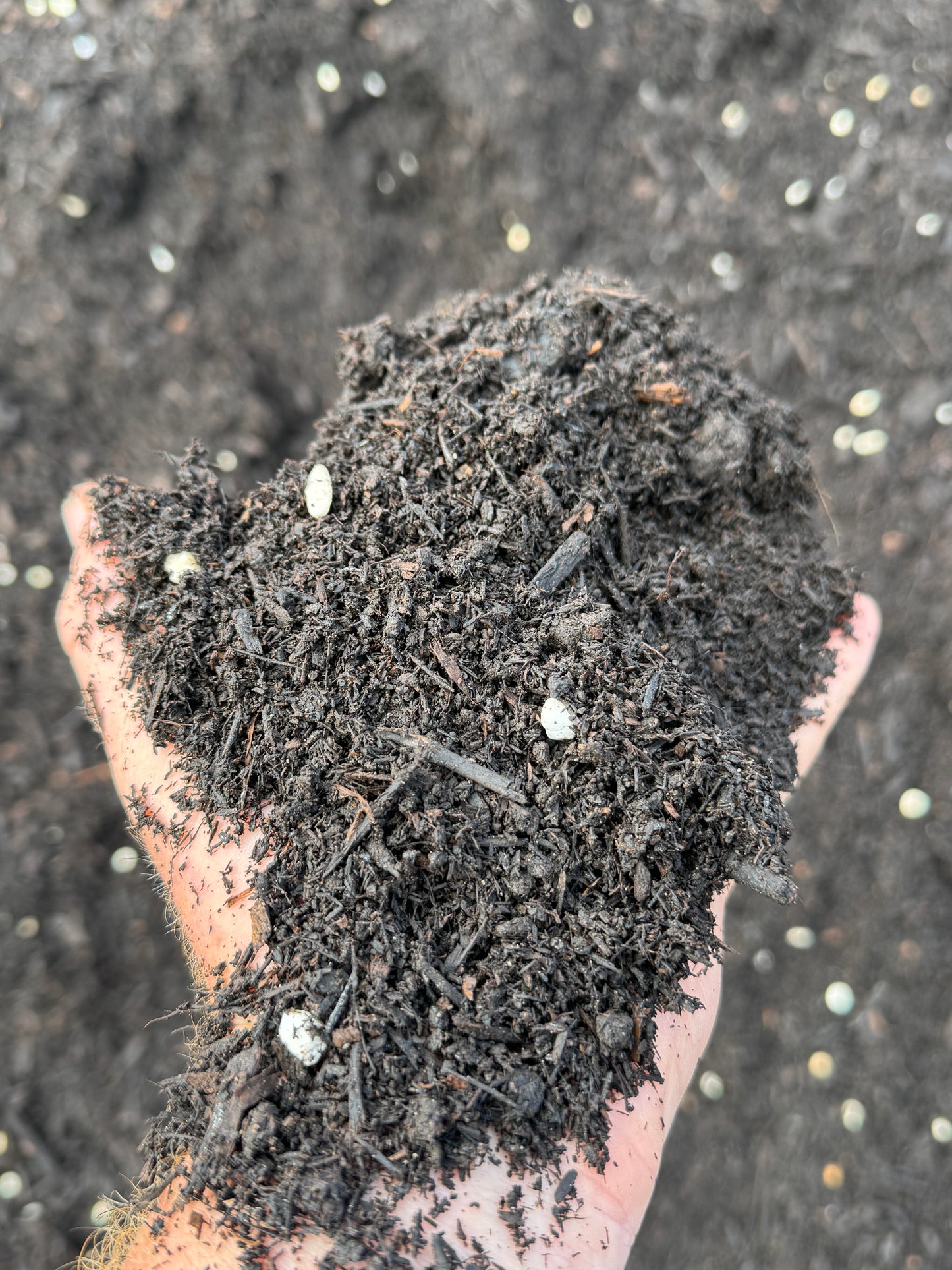 Fermented Raised Bed compost