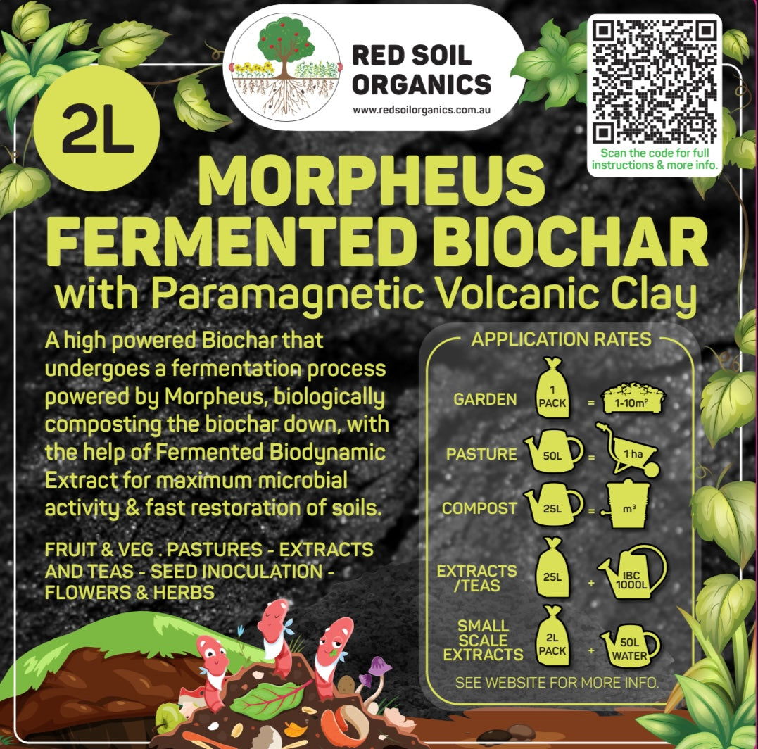 Fermented, biologically active biochar