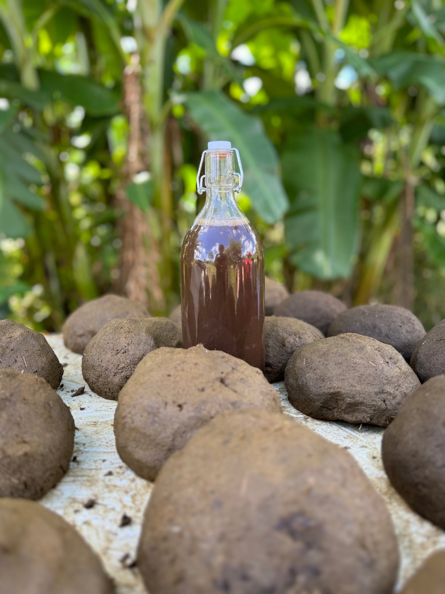 Fermented Biodynamic Extract + Adaptogenic Microbes