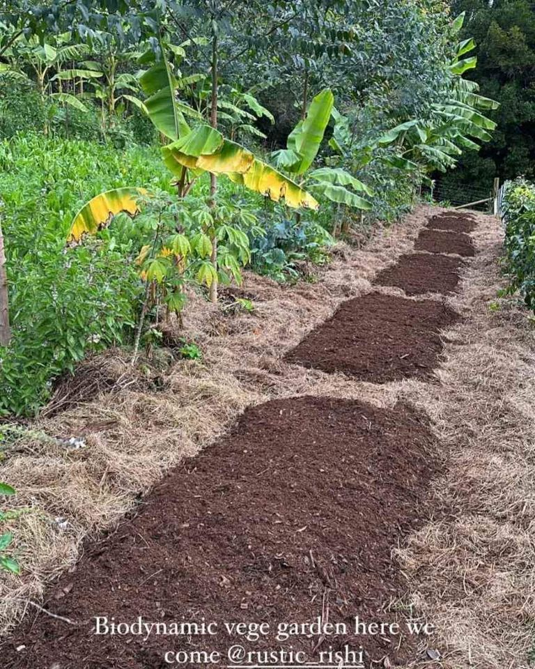 Biodynamic Fermented Mulch (fertilizer mulch) 2.0