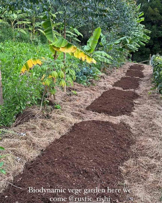 Fermented Fertilizer Mulch 2.0 | Upgraded recipe!