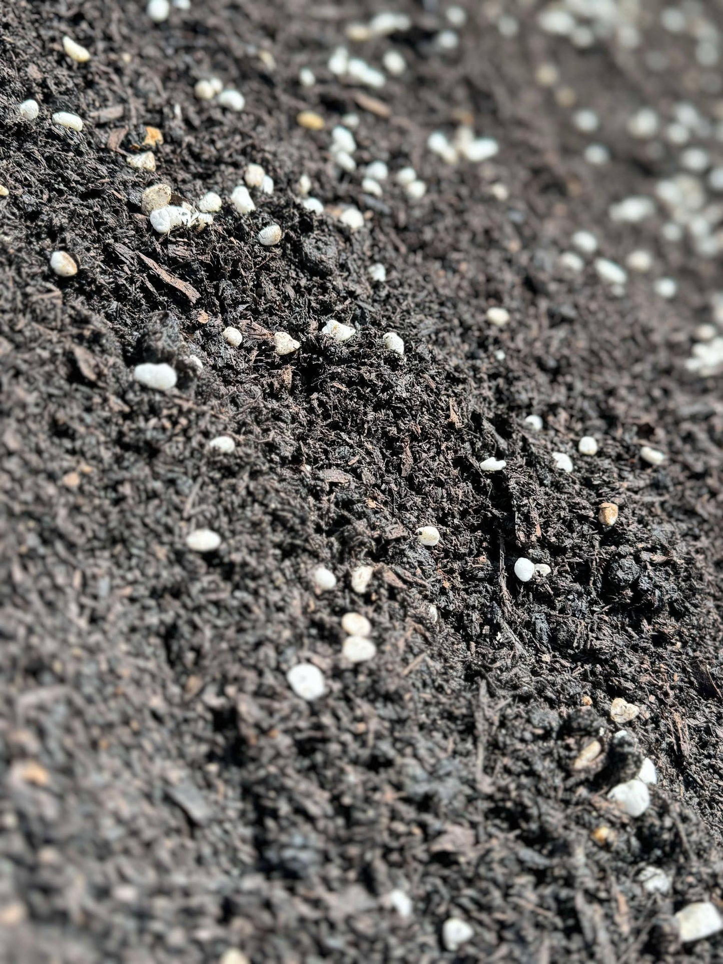 Biodynamic Fermented Potting Mix