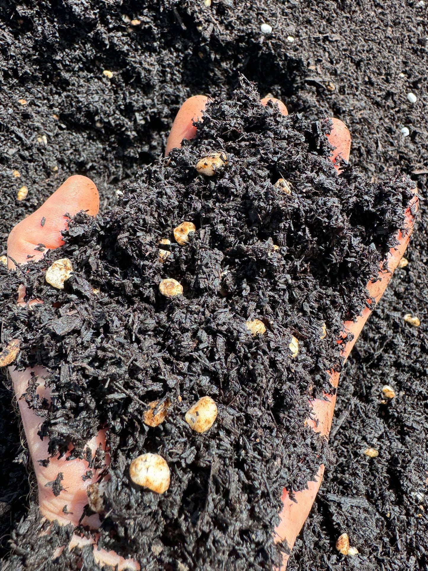 Biodynamic Fermented Potting Mix