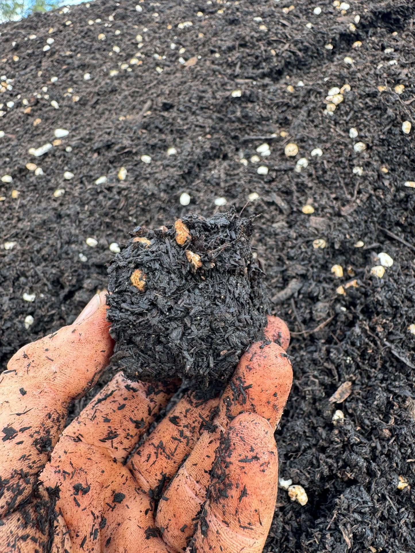 Biodynamic Fermented Potting Mix