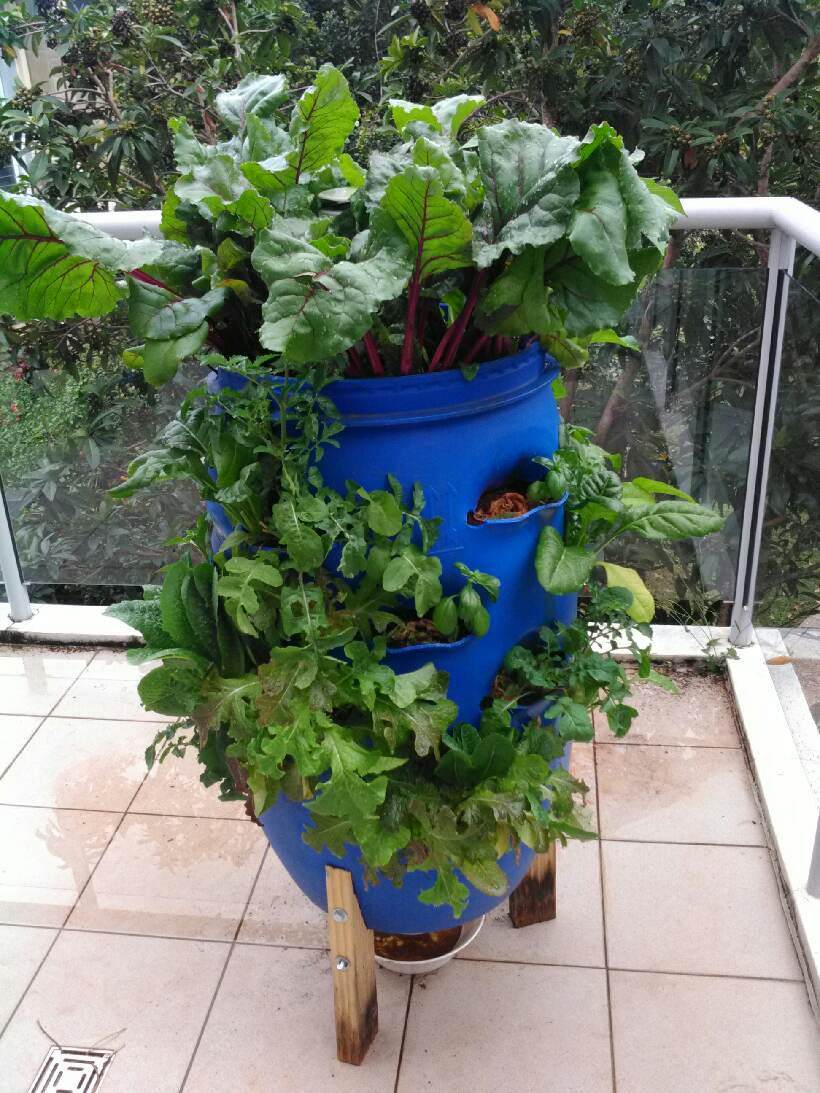 fermented potting mix working in towerr gardens
