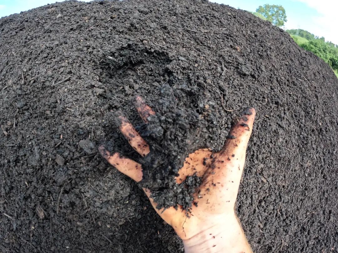 Morpheus 2.0 - Biodynamic, Organic Compost (Fertilizer) Bag and Bulk options